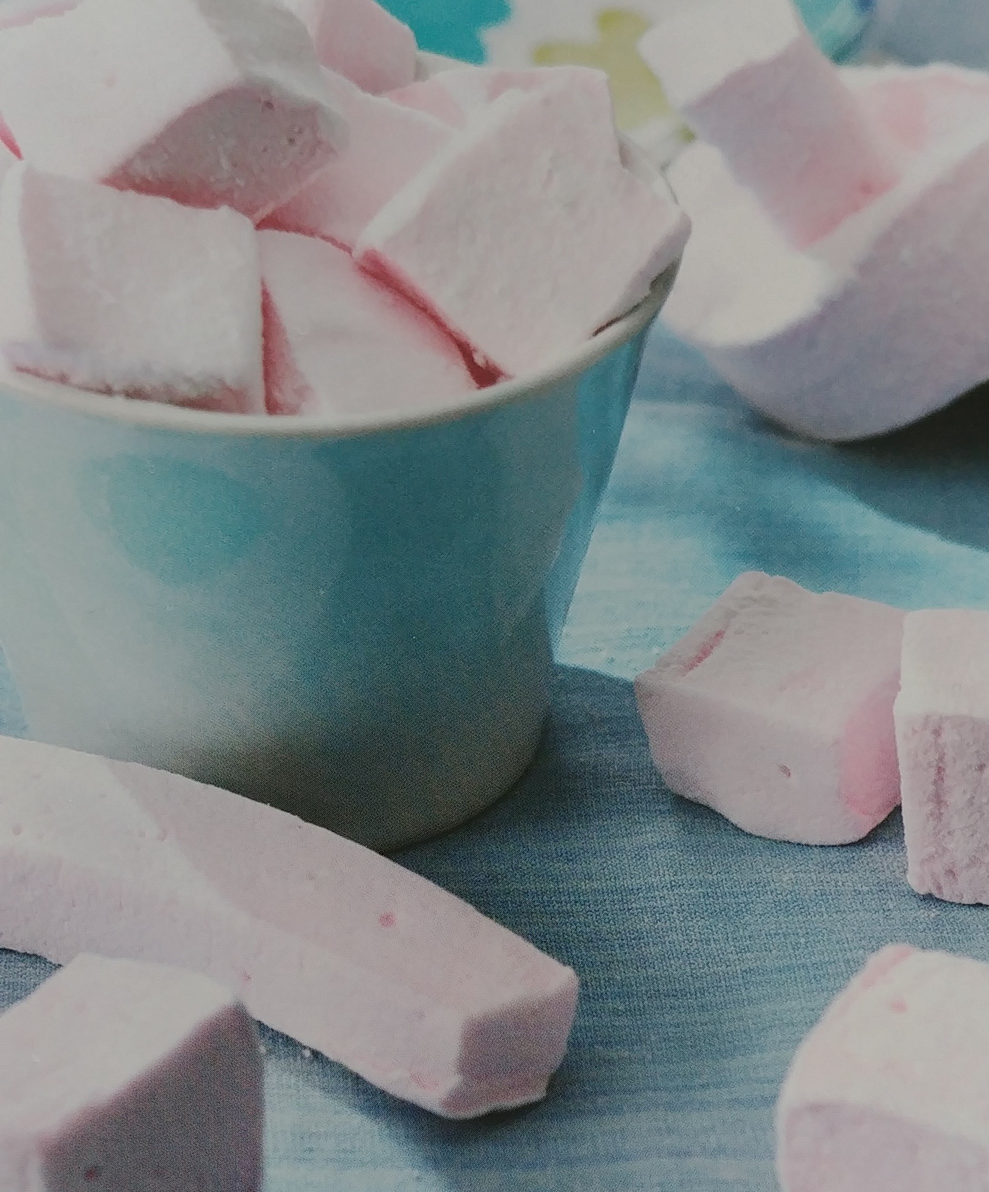 NEWSLETTER #8 : Guimauve : le saviez-vous ? – mars 2021