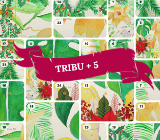 Offre Tribu +5 – 6 accès au Calendrier de l’Avent sonore (La Réunion, 1 minute par jour)