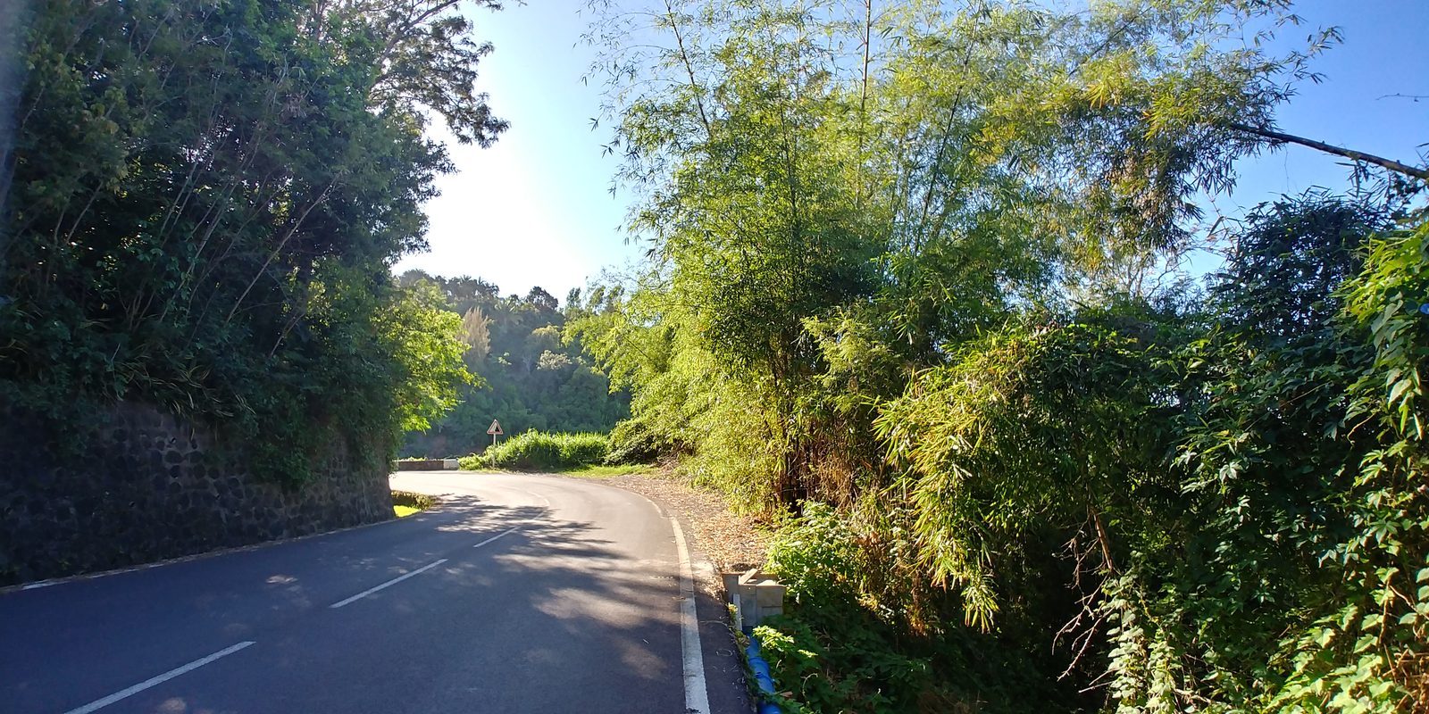 La route qui mène au jardin du Lambert, La Réunion
